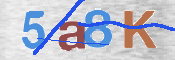 Obrázok CAPTCHA