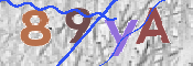 Obrázok CAPTCHA