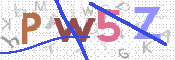 Obrázok CAPTCHA